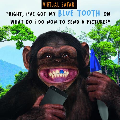 *Virtual Safari 7x7 - Bluetooth
